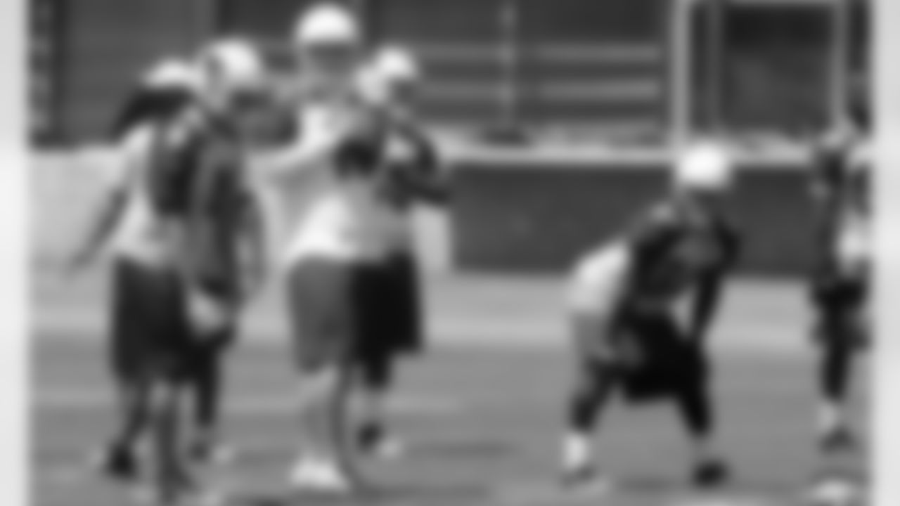 Kevin Kolb (4), John Skelton (19) and Ryan Williams (34)