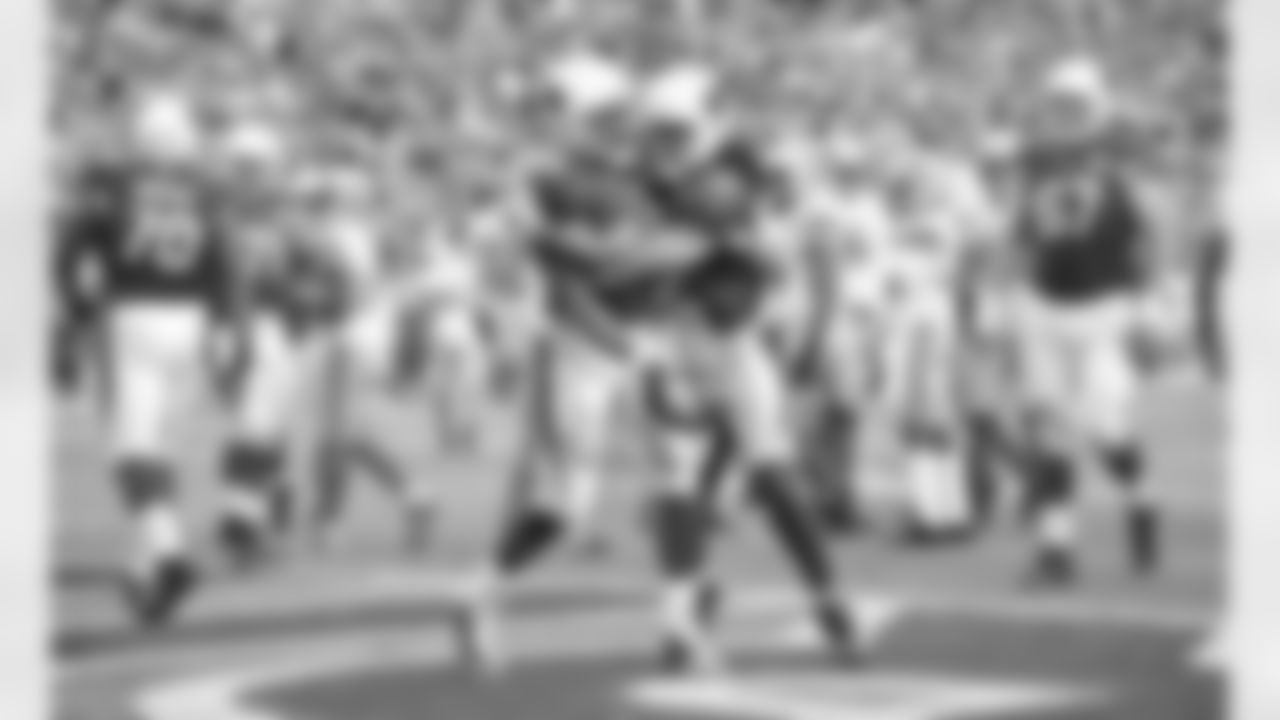 WR Larry Fitzgerald