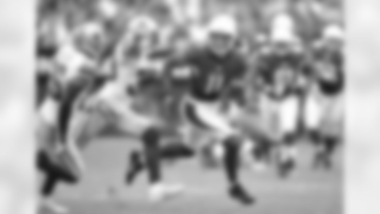 WR Larry Fitzgerald