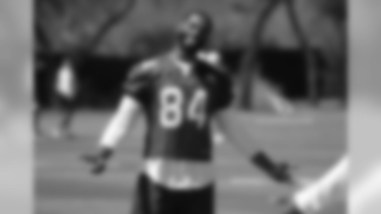 TE Jermaine Gresham