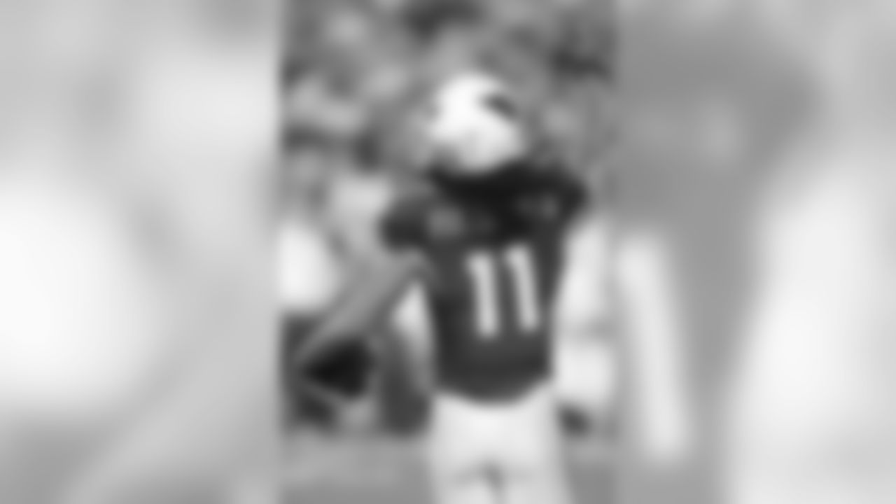 WR Larry Fitzgerald