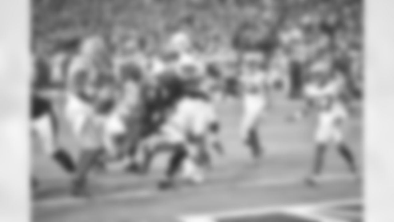 vs. Packers 2015 Divisional Round