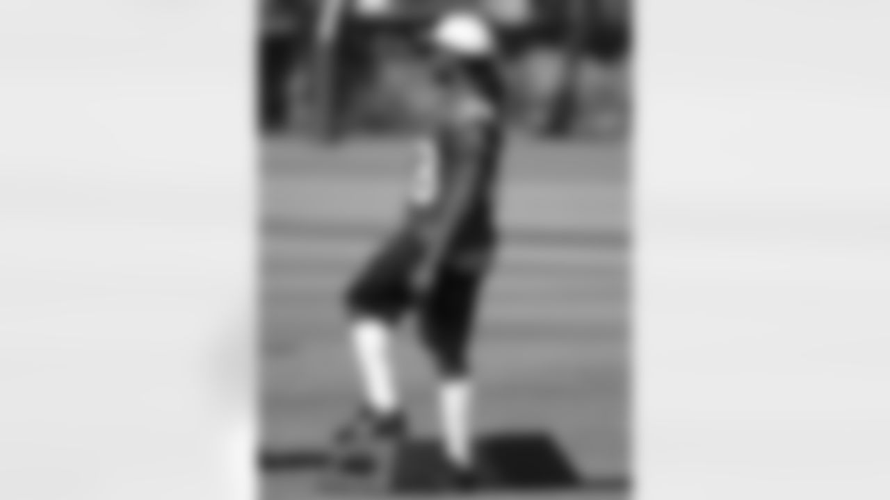 RB Andre Ellington