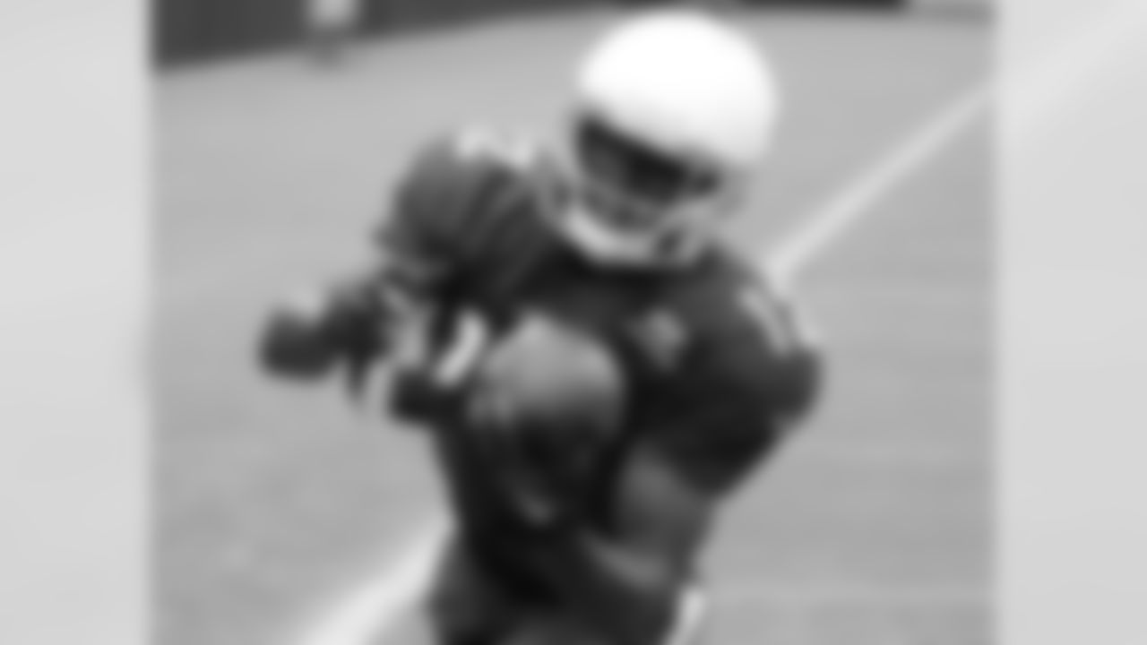 WR John Brown catches a pass in the end zone