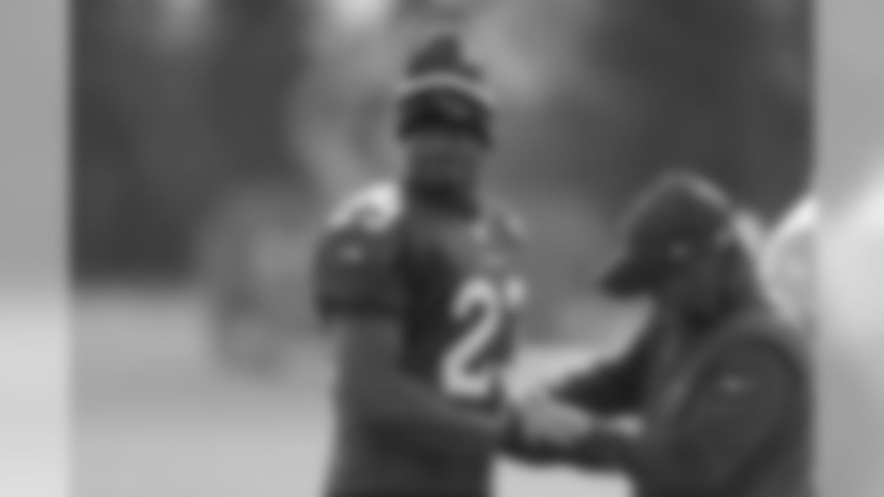 RB Adrian Peterson