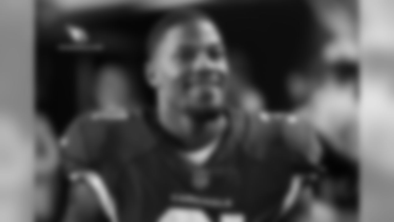 RB David Johnson