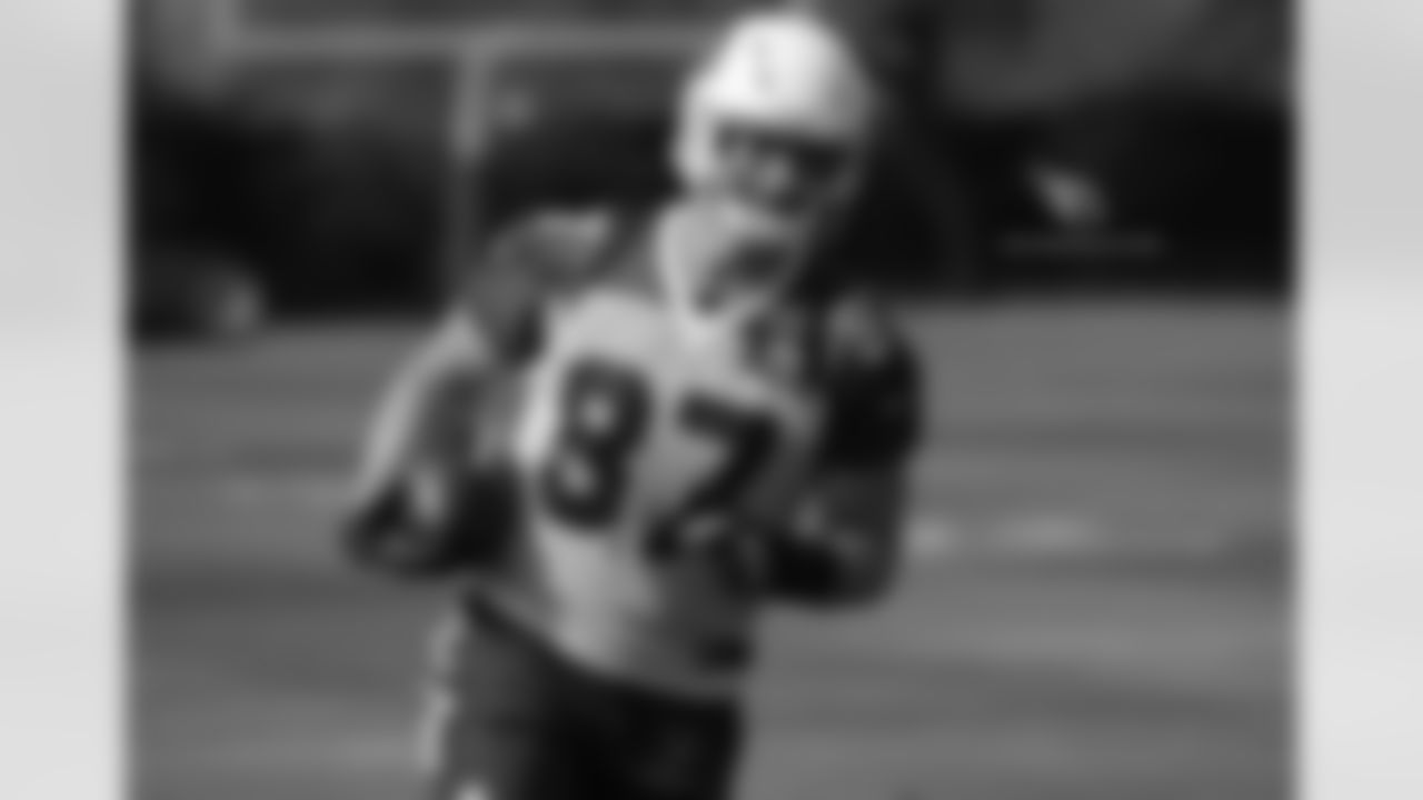 TE Troy Niklas