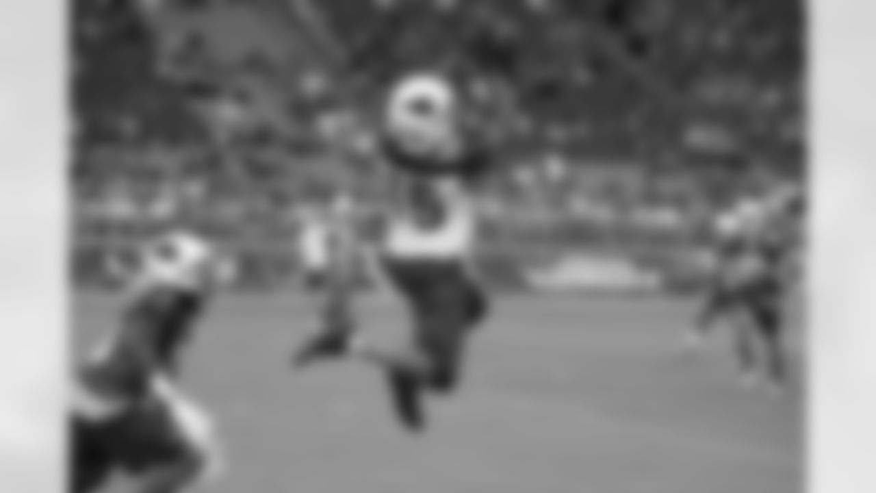 Michael Floyd snares the pass