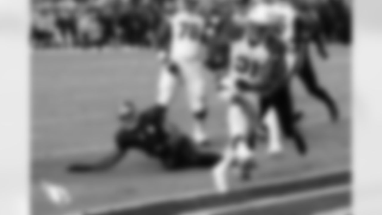 RB David Johnson: 30 points