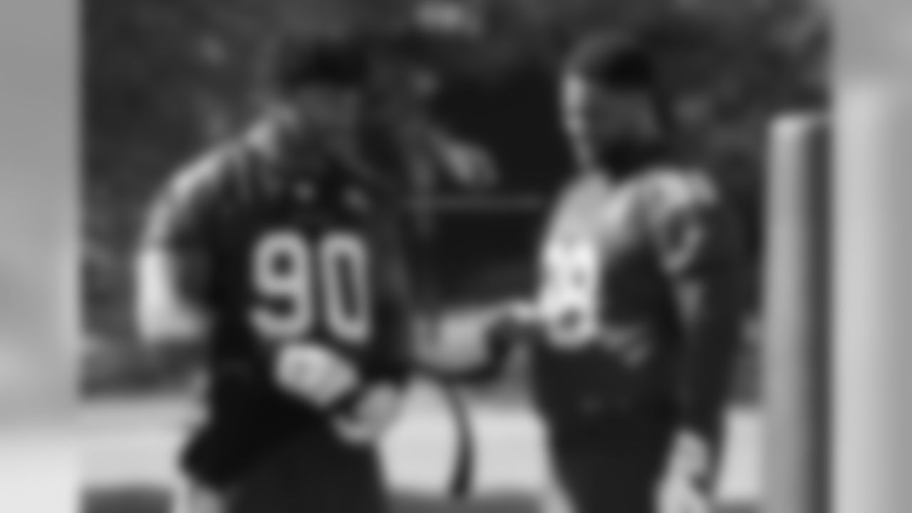 DTs Robert Nkemdiche and Corey Peters