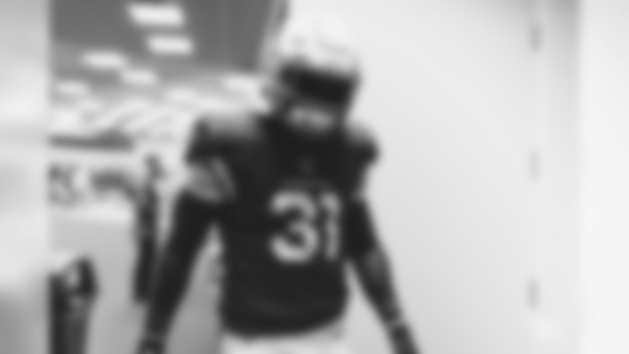 RB David Johnson