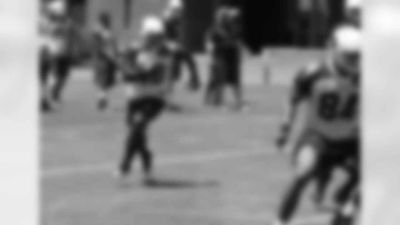 Rashard Mendenhall to the outside