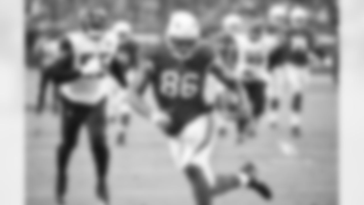 TE Ricky Seals-Jones: 18 points