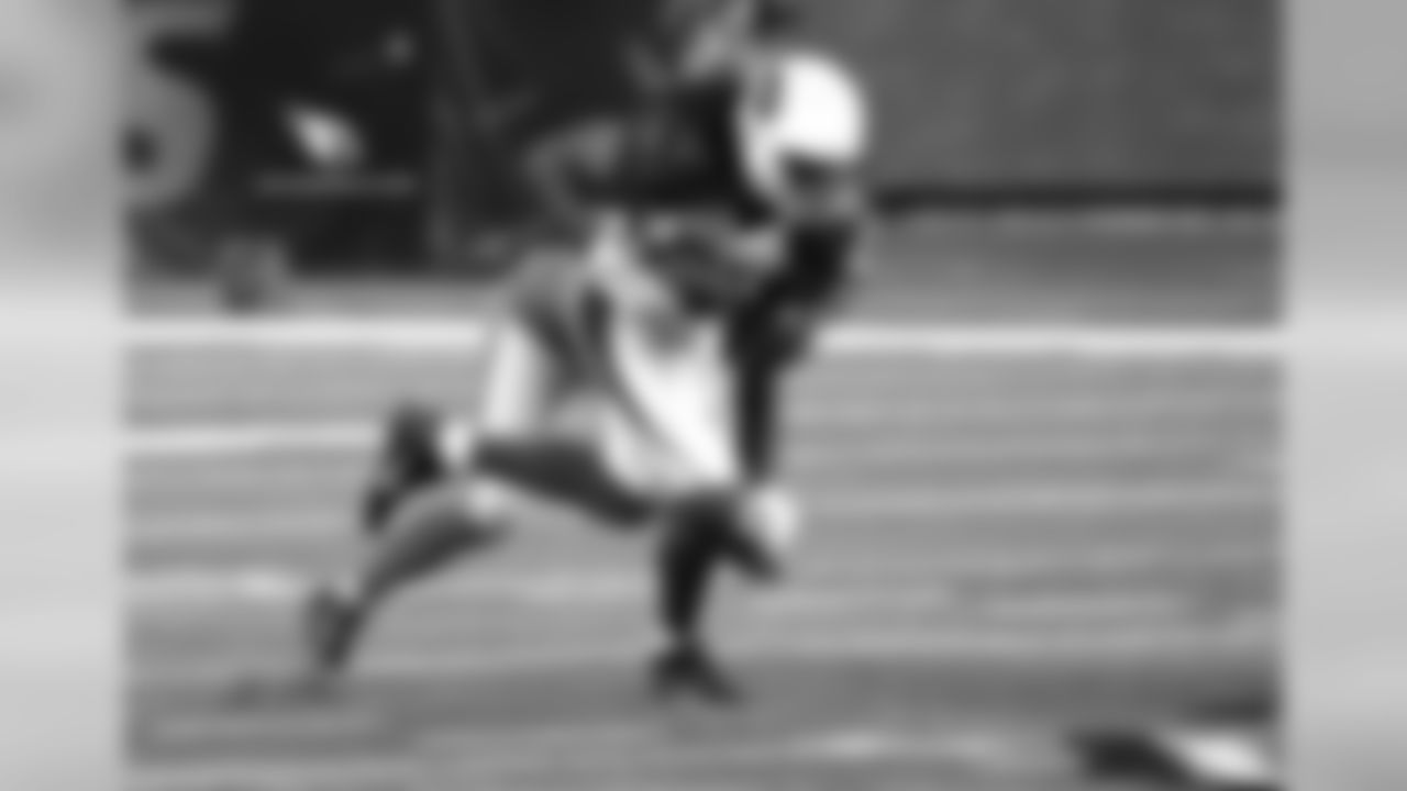 WR Larry Fitzgerald