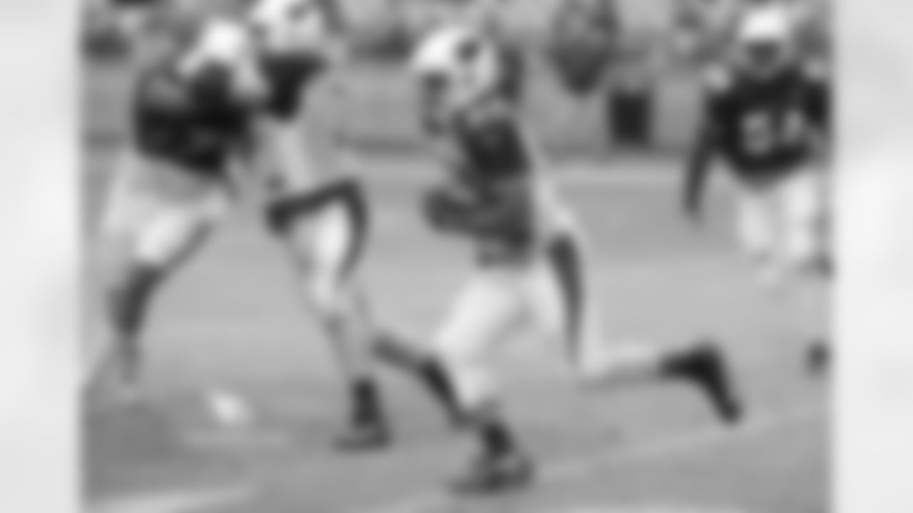RB David Johnson