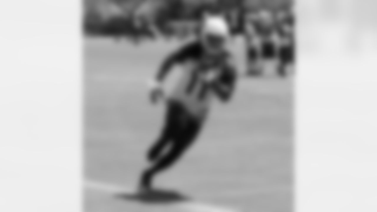 WR Larry Fitzgerald