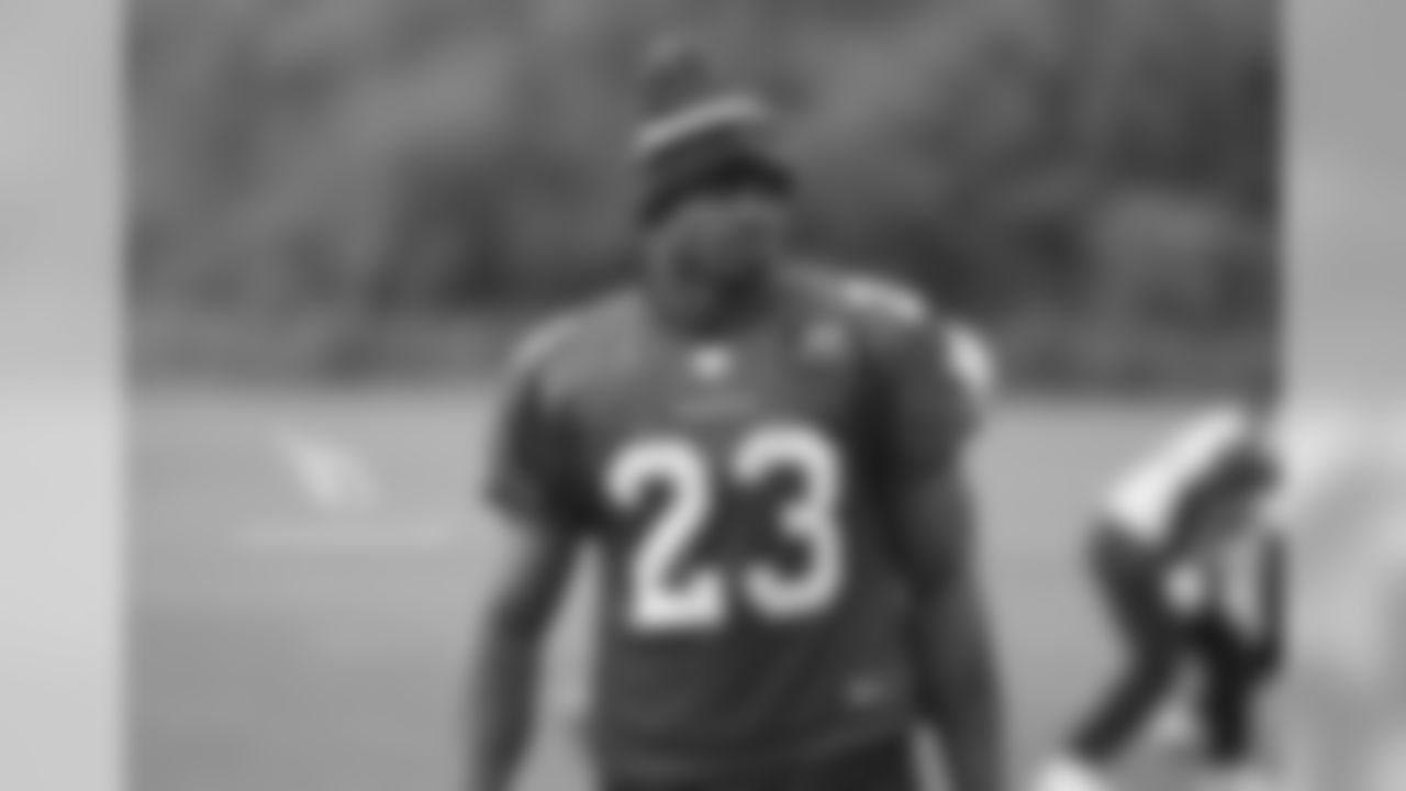 RB Adrian Peterson