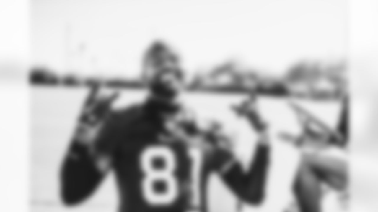 TE Darrell Daniels