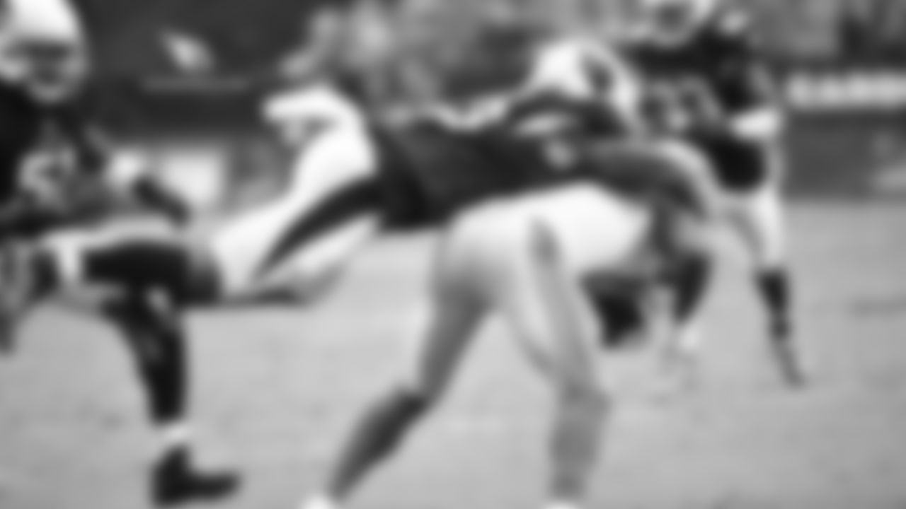 LB Haason Reddick makes a tackle against the Lions