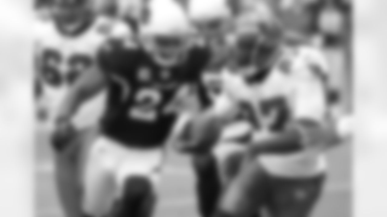Adrian Wilson 2010