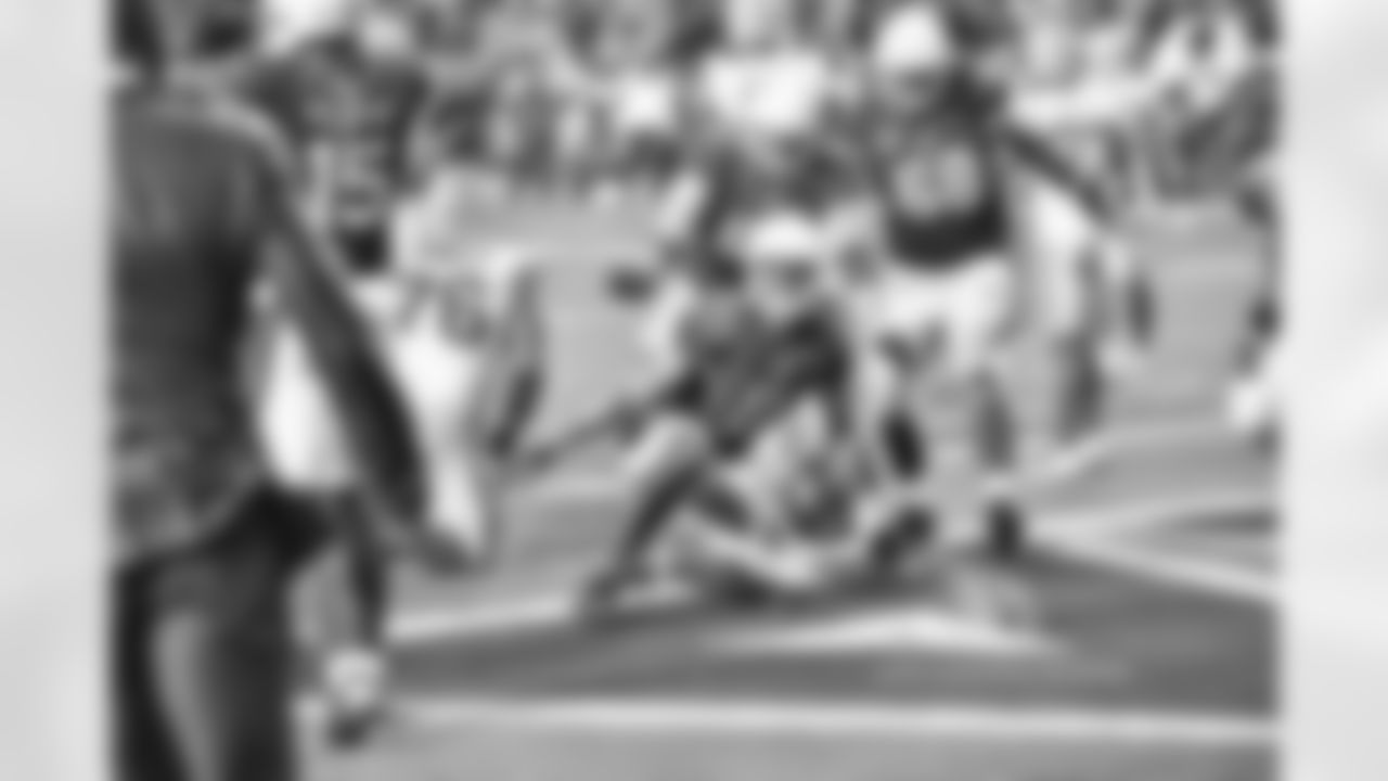 WR Larry Fitzgerald against the Packers