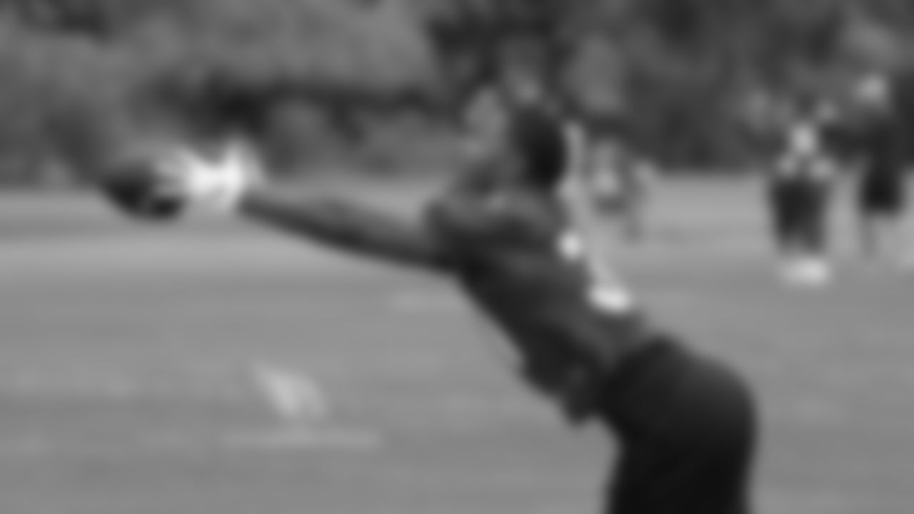 RB David Johnson