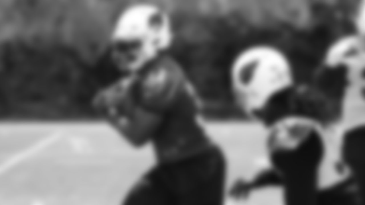 RB David Johnson
