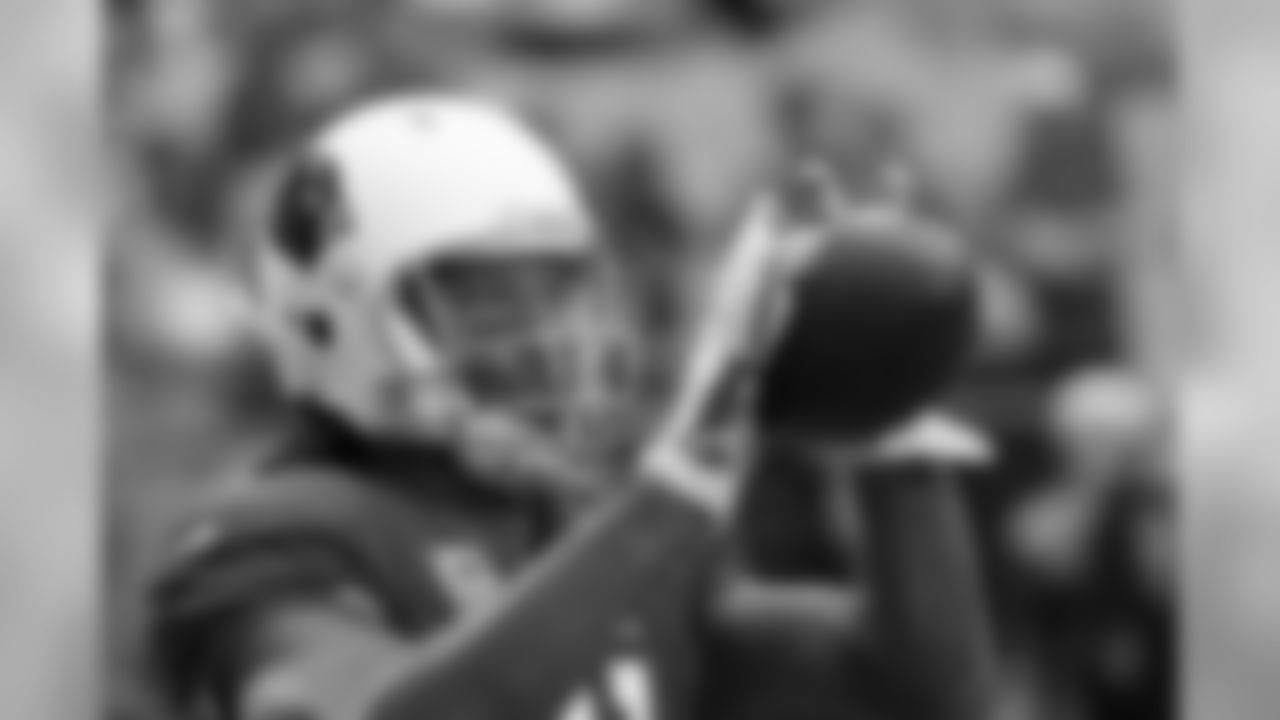 WR Larry Fitzgerald