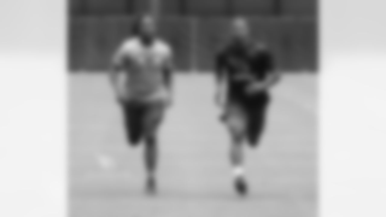 RBs Chris Johnson and David Johnson