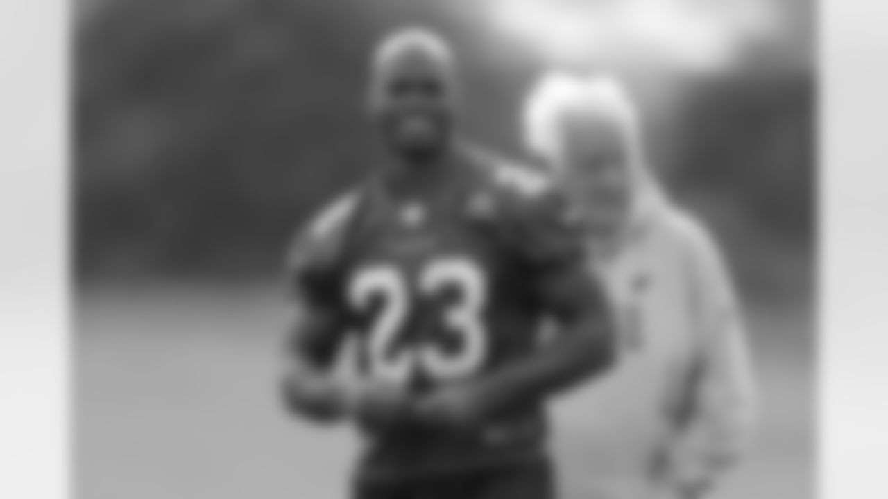 RB Adrian Peterson