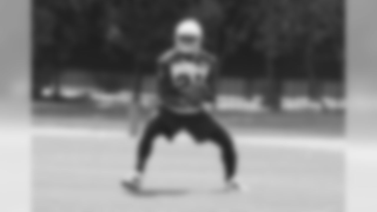 CB Patrick Peterson catches a punt
