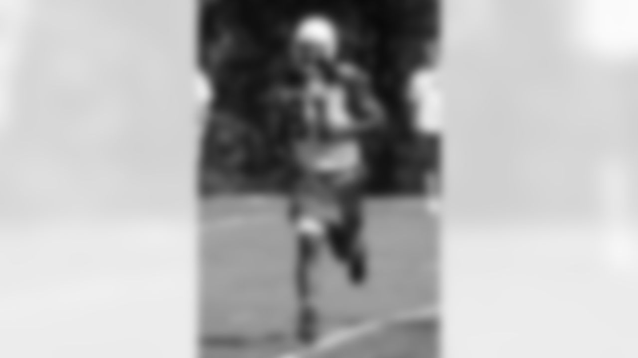 WR Anquan Boldin, photo by Peter Vander Stoep
