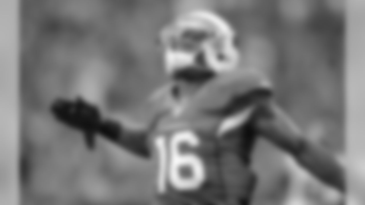 WR Teddy Williams reacts after hauling in a long pass against the Falcons.