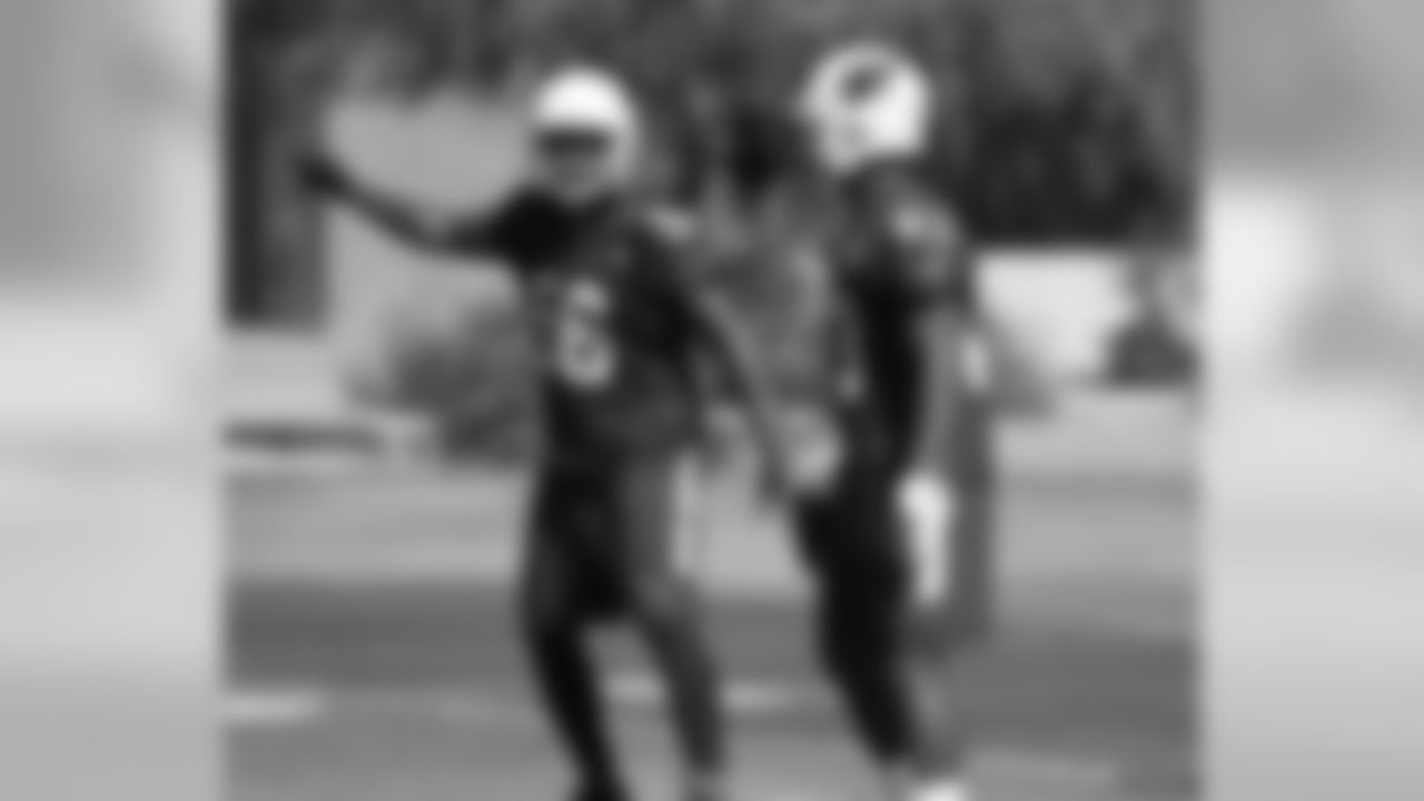 LBs Karlos Dansby and Haason Reddick
