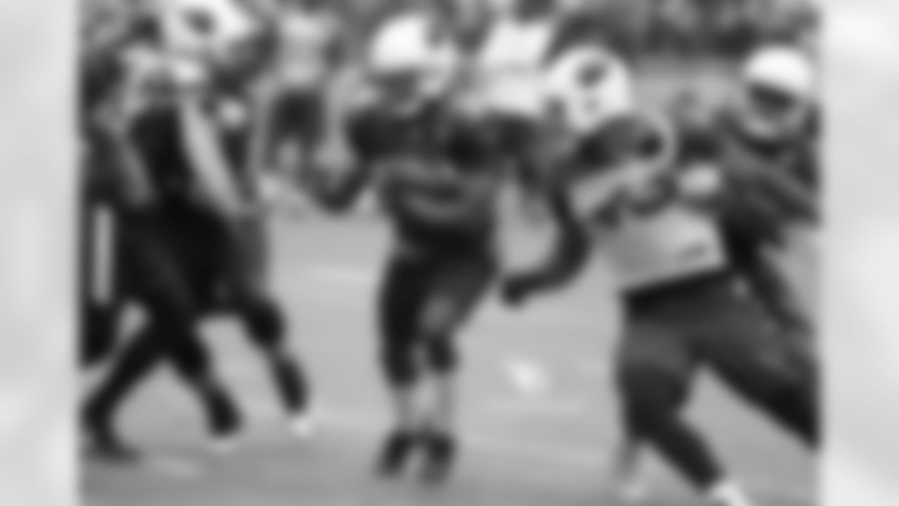 Day 14: RB Andre Ellington carries the ball