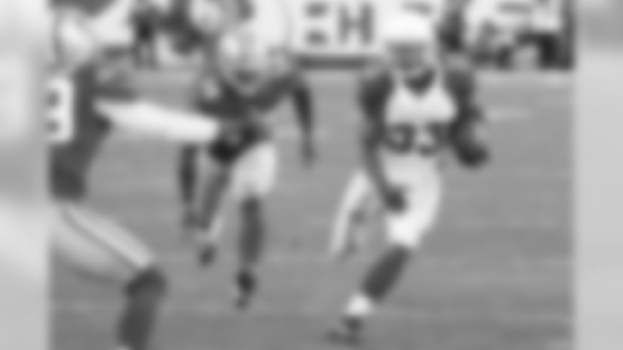 RB Kerwynn Williams