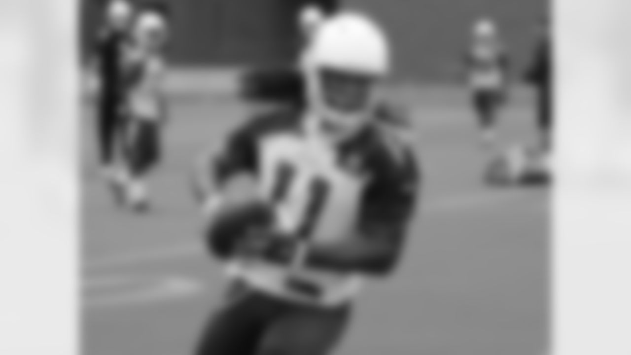WR Larry Fitzgerald