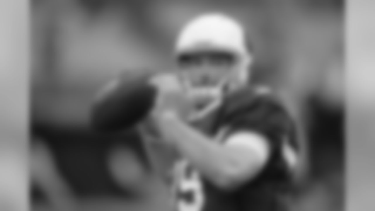 QB John Skelton