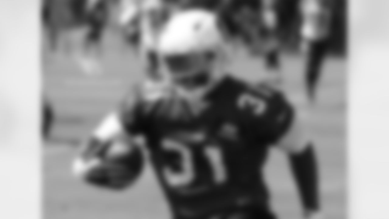 RB David Johnson