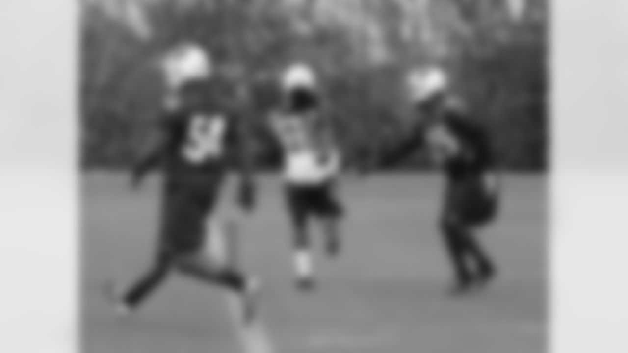 RB Andre Ellington scores a touchdown