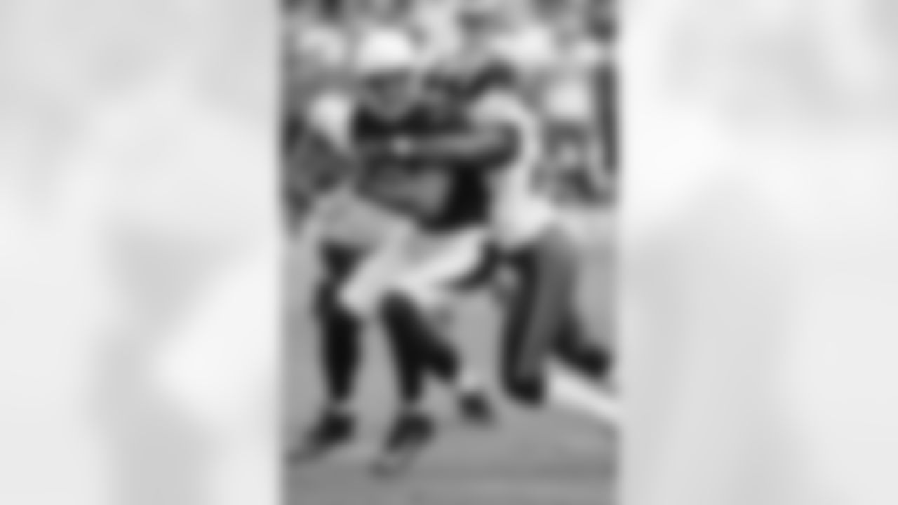 WR Larry Fitzgerald