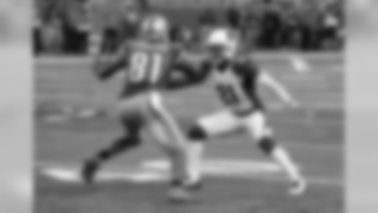 CB Patrick Peterson against Lions WR Calvin Johnson