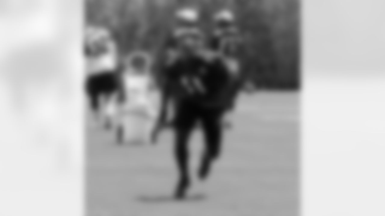 WR Larry Fitzgerald