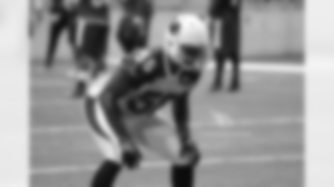 LB Karlos Dansby