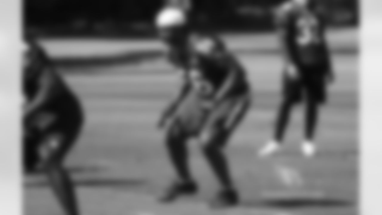 LB Karlos Dansby