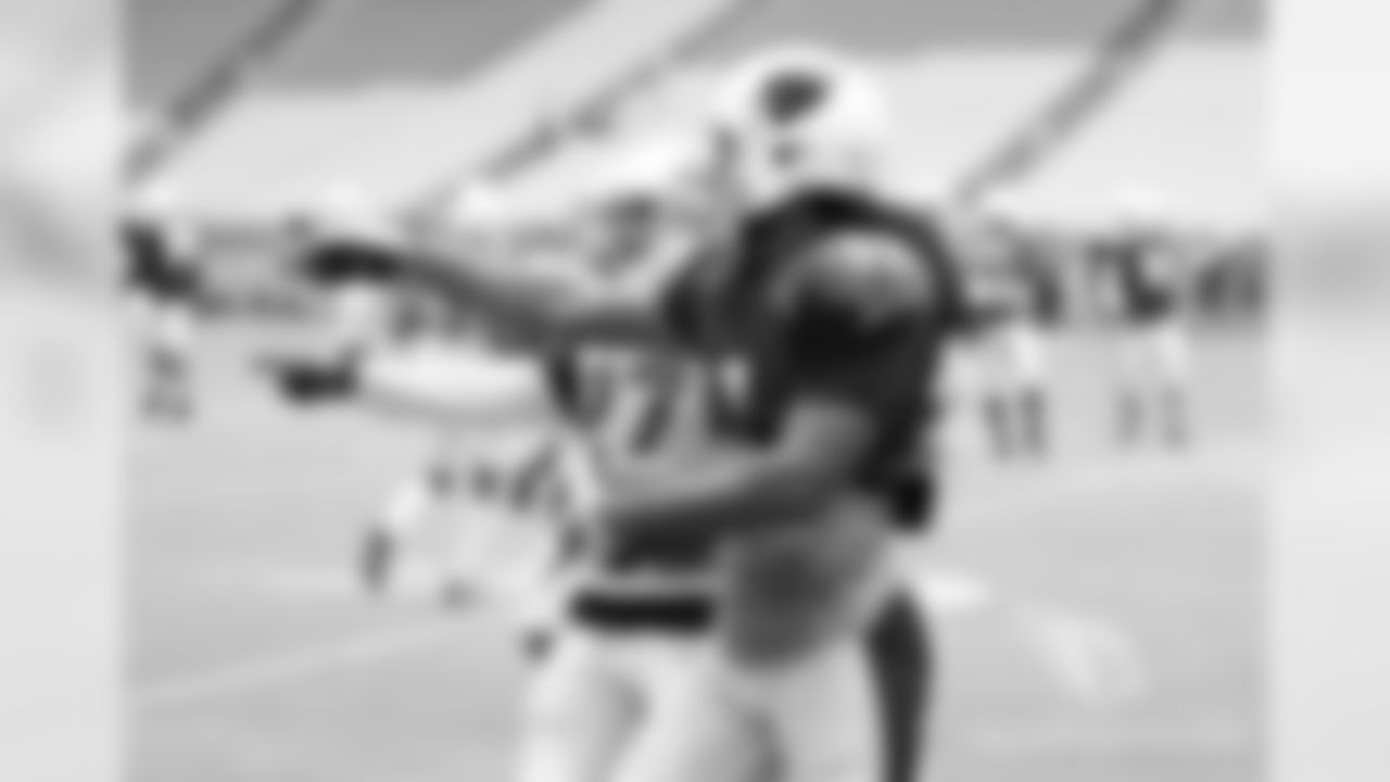 WR Larry Fitzgerald (right) and S Tyvon Branch both motion to an official