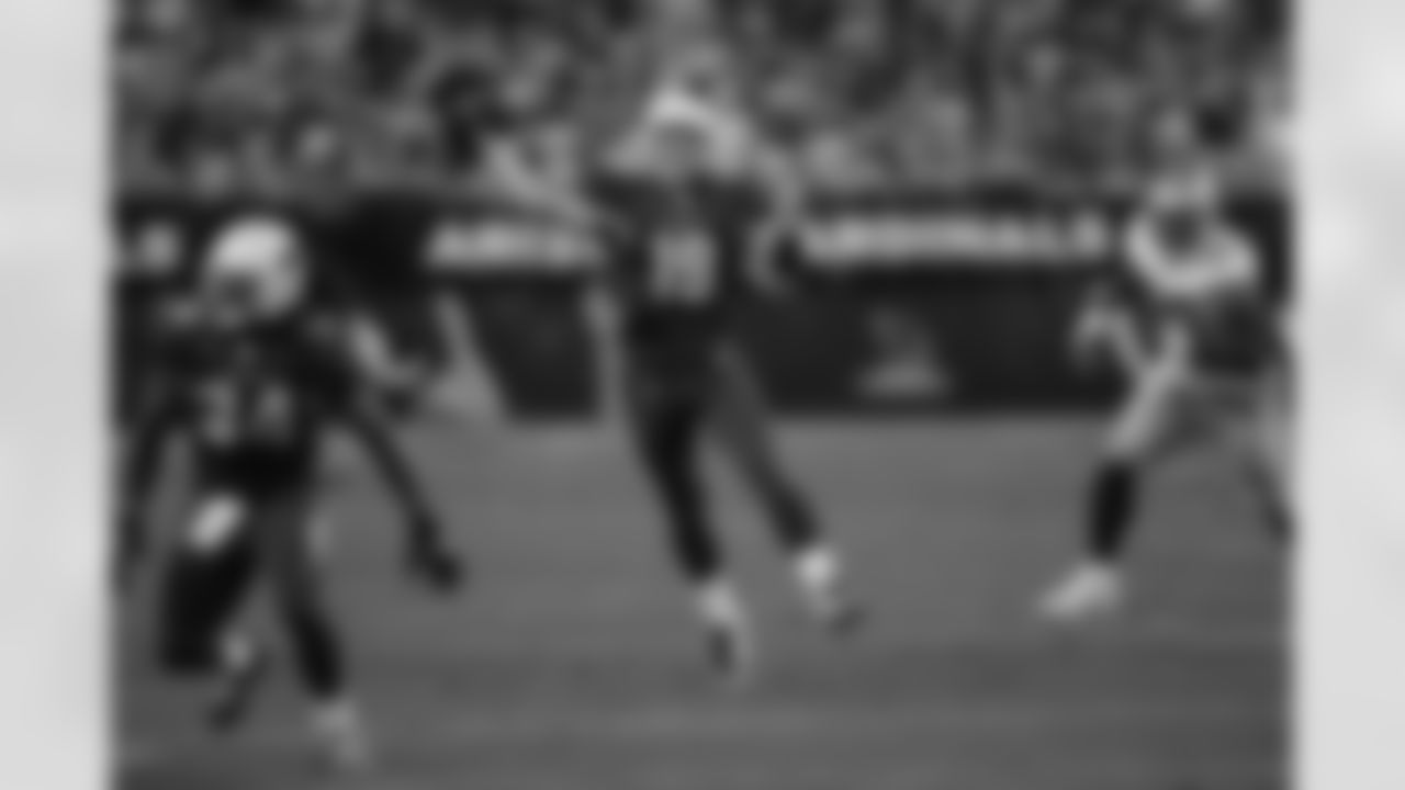John Skelton fires down field for the completion