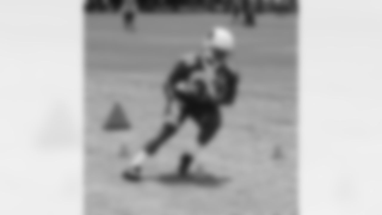 RB Andre Ellington