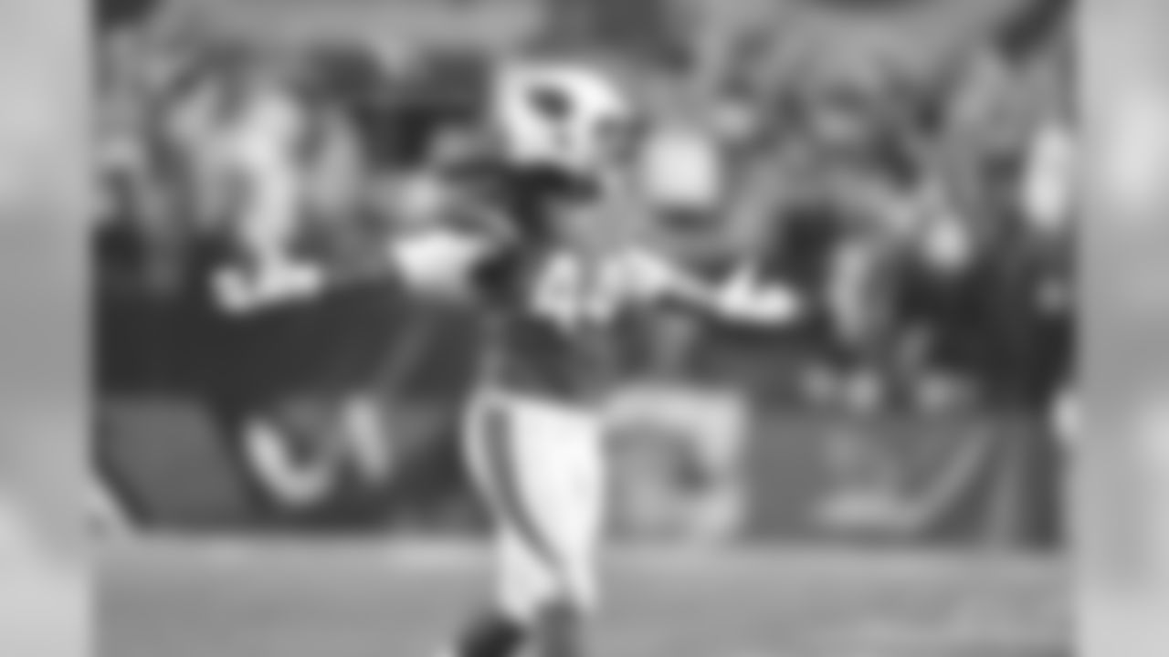 LB Markus Golden against the Patriots