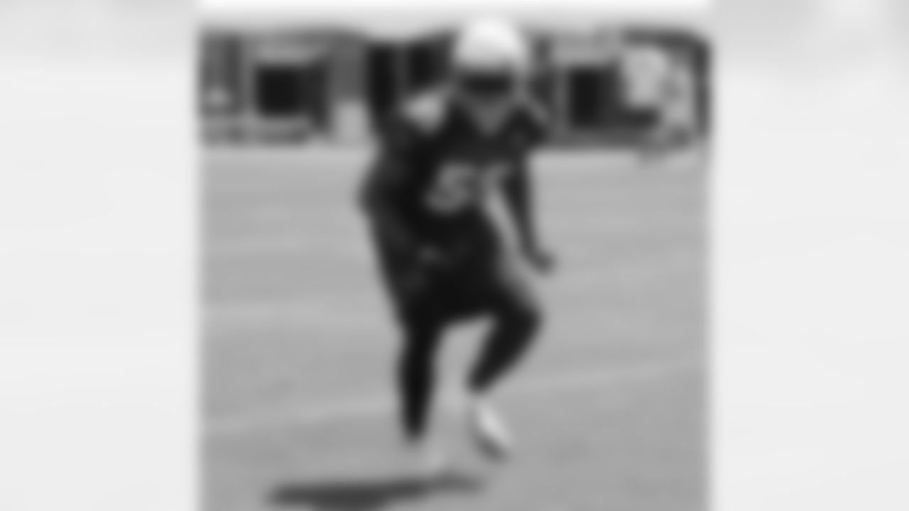 LB Karlos Dansby